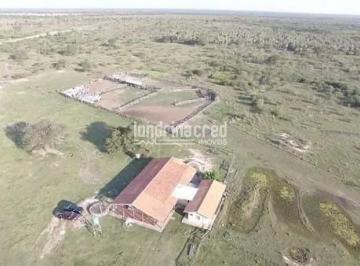 031770213771822.jpg · Fazenda Santa Isabel no Chaco Paraguaio por 750 dólares por hectare, com 6.581 hectares e estrutura 