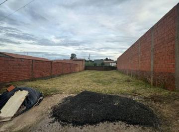 2nffgysivra1770177620642.jpg · Imoveis - no Jardim Vista Alegre
