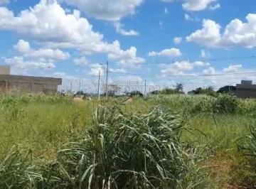 Terreno · 300m² · Terreno Padrão em São José do Rio Preto