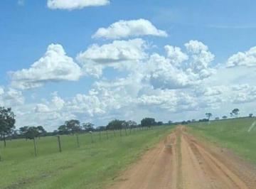 Rural · 1590m² · 4 Quartos · 30 Vagas · Fazenda à Venda próximo a São Felix do Araguaia-MT.
