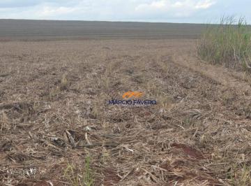 Imagem 1 · Fazenda