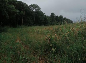 Terreno 500m² Venda Bairro da Ressaca · Oportunidade! Terreno à Venda em Ibiúna