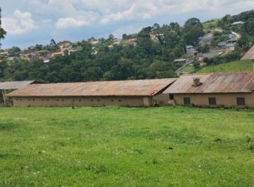 Rural de 5 quartos, Mairinque · lindo haras