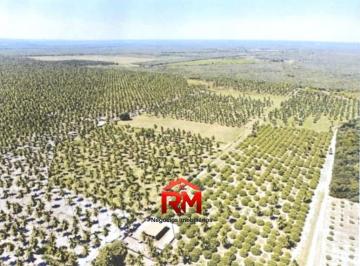 Foto 01 · Fazenda, Zona Rural Ponta D'água, Beberibe, CE