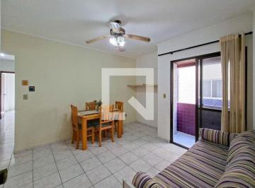 Apartamento · 47m² · 1 Quarto · 1 Vaga · Apartamento para Aluguel - Nova Mirim, 1 Quarto, 47 m² - Praia Grande