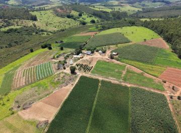 Foto 17 · Fazenda, Fazenda 30 Hectares, Passa Tempo, MG
