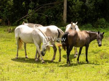 Rural · 92760m² · Marvilhosa chácara em São José dos Pinhais