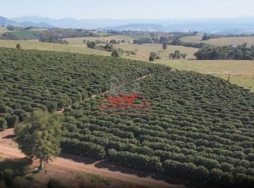 Rural · 5000000m² · Fazenda de Café em Paraíso MG: 500ha a 1.200m de Altitude
