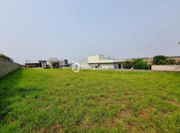 Terreno · 1000m² · Terreno em Condomínio à venda, Morada dos Pássaros - Rio das Pedras/SP