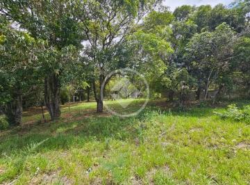 343ea4bd-7cc8-4d2c-a6f8-c9fcbdba2e24.JPG · Lote Comercial Residencial Riviera
