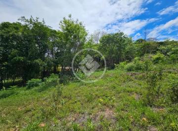 IMG_5376.JPG · Lote Comercial Residencial Riviera