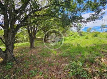 IMG_5375.JPG · Lote Comercial Residencial Riviera