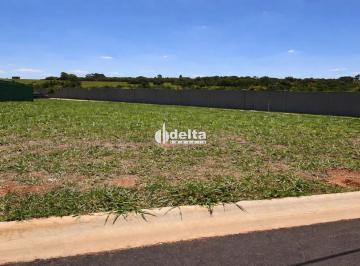 Terreno · 560m² · Terrenos disponíveis para venda no condomínio Mirante do Lago em Uberlândia-MG