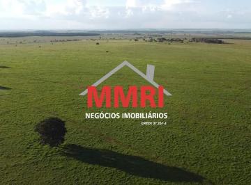 Imagem 1 · Fazenda