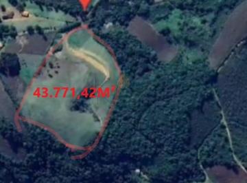 Terreno · 43771m² · Terreno à venda, 43.771.42 m²2, XIMBUVA, CAMPO ALEGRE - SC