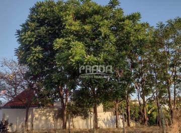 cc0798dd1272ee2c135625f94c3123d84a047b30 · Terreno à venda com 300 m² - Vigilato Pereira - Uberlândia/MG.