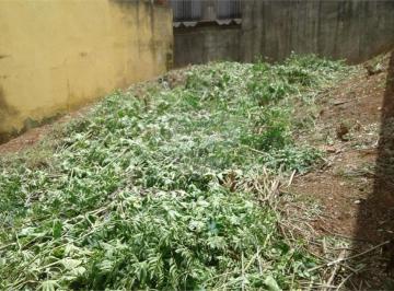 Terreno · 110m² · Terreno à venda em Jardim labitary - SP