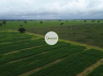 Rural , Britânia · Fazenda a venda em Britania-GO 653 Hectares - Dupla aptidão - Região do vale do araguaia