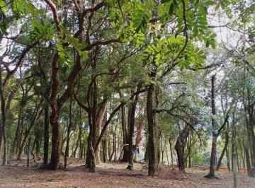 Terreno · 1279m² · Terreno à venda no bairro São Virgílio em Caxias do Sul/RS