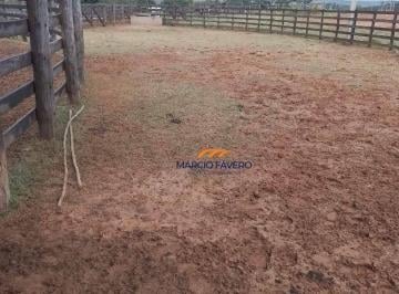 Imagem 1 · Fazenda
