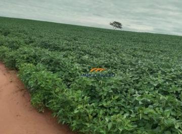 Imagem 1 · Fazenda