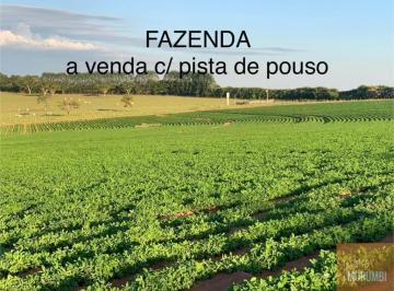 Foto 05 · Fazenda para Venda, Marília / SP 56,60 hectares c/ pista de poso hangar para 3 Aviões Marilia D