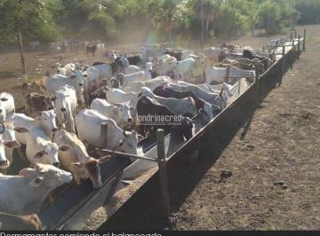 p58lfos2ytiwm2u3yjiyzdgw_md · Fazenda à Venda em Área Rural de Foz do Iguaçu, Foz do Iguaçu - PR