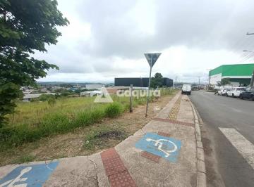celia-11770256751681.jpeg · Terreno à venda, Boa Vista, Ponta Grossa, PR