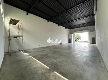 Comercial · 300m² · 1 Vaga · Galpão disponível para locação no bairro Shopping Park em Uberlândia-MG