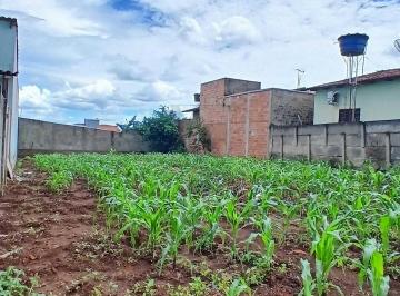 Terreno · 360m² · Terreno à venda no bairro Negrinho Carrilho - Goianésia/GO