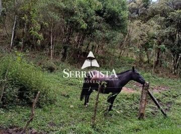 25015074_4.jpg · Área para chácara em São Bento do Sul - 20.000 m2