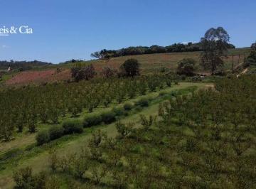 3191c4a4be13664b3212355bf7eb3ca5ca18f40b · Terreno em Jarinu, 23000 m² por R$ 250.000 - 24 X direto com o proprietário
