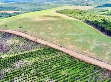 Fazendinhas a venda Na divisa Itatiaiuçu com Itaguara MG · Fazendinhas/terreno à venda, 20.000 m² a partir R$ 180.000 - Zona Rural - Itatiaiuçu/Itaguara/MG
