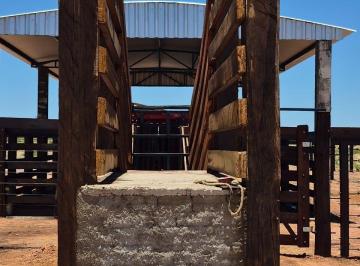 Rural · 10623800m² · 1 Quarto · 2 Vagas · Fazenda no Tocantins estruturada para agricultura e pecuária.