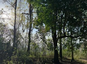 Terreno · 26300m² · TERRENO EM GUARAMIRANGA