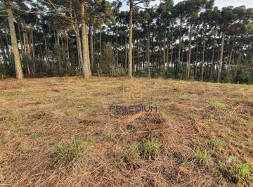 0d83d4284c4f83b730d376bc0a91a494e7e6a5b8 · Terreno à venda, 1001 m² por R$ 750.000 - Vila Fuck - Piraquara/PR