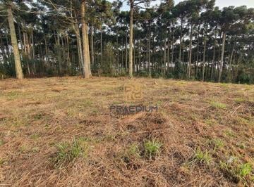 0d83d4284c4f83b730d376bc0a91a494e7e6a5b8 · Terreno à venda, 1001 m² por R$ 750.000 - Vila Fuck - Piraquara/PR
