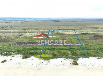 Terreno · 140000m² · Lote em Belmonte - Belmonte - Belmonte/BA