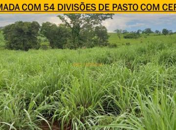 Rural en Venda de 2 quartos Zona Rural · Fazenda em Monte Alegre Goiás