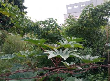Terreno · 378m² · Terreno em Jardim Hermínia, Boituva/SP