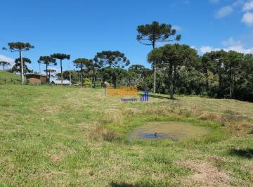 dexoqhpp47dmrbxvhyhmwovjsgreit5lilzmbcysfes2otdmmmnjzdkxztq3_md · Sitio com Rio, Araucárias, Nascentes e natureza em Urubici- SC. Próximo cidade