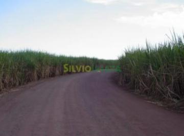 Foto 0 · Fazenda a venda no município de Mandaguaçu PR