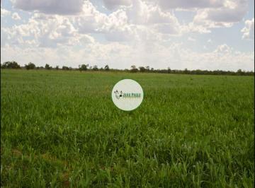 Rural , Alvorada do Norte · Fazenda a venda em Alvorada do Norte-GO - 3.336 Hectares - Pecuária e Lavoura - Estrutura Completa