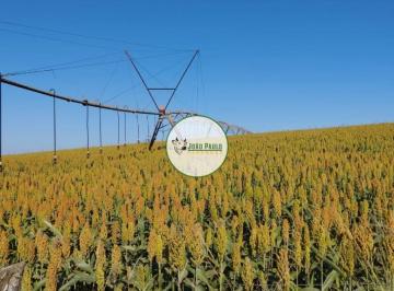 Rural , Campo Alegre de Goiás · Fazenda a venda em Campo Alegre - 1.887 Hectares - 500 hectares lavoura sequeiro