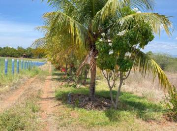 Rural de 2 quartos, Paulo Afonso · Chácara com beira de rio exclusiva a venda, no povoado Riachão, Glória-BA