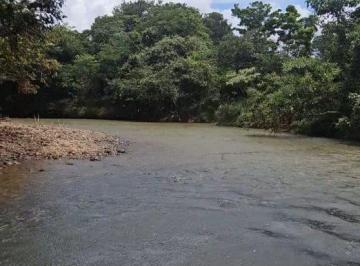 Rural de 5 quartos, Buritis · Seu Refúgio Rural em Buritis - MG, RIO, POÇO, 100% FORMADA: Viva o Sonho da Fazenda Própria!"