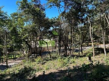 Terreno · 810m² · LOTE COM PROJETO APROVADO.
