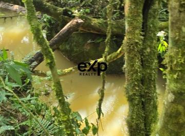 Rural · 4235m² · 1 Quarto · Chácara em  Agudos Do Sul  Papanduva venda