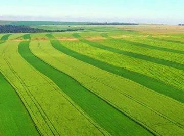 Rural , Paranatinga · Fazenda com 90.000 há à venda em Paranatinga-MT