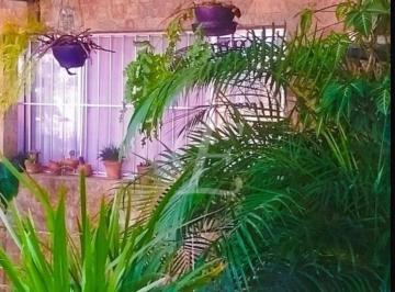 d9d73ef04d8348c6c421c2ce7198647abbef5709 · Sobrado com 3 dormitórios à venda, 350 m² por R$ 910.000,00 - Limão - São Paulo/SP